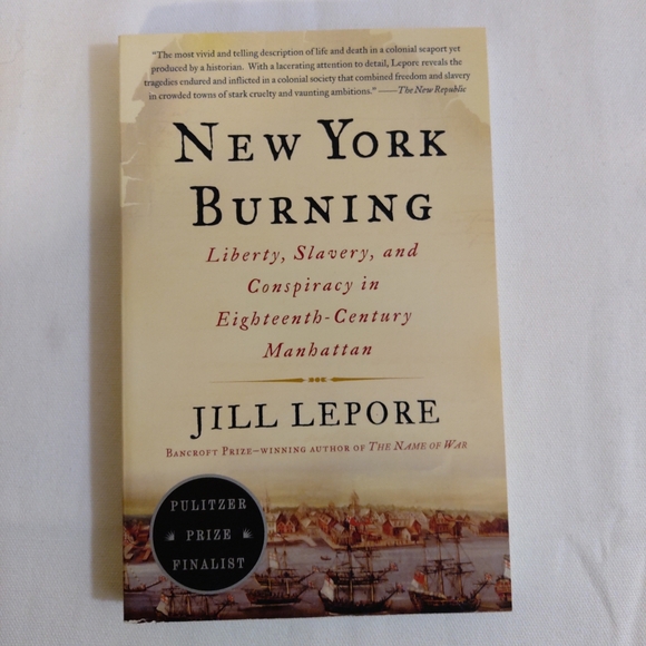 vintage books Other - New York burning. By Jill Lepore